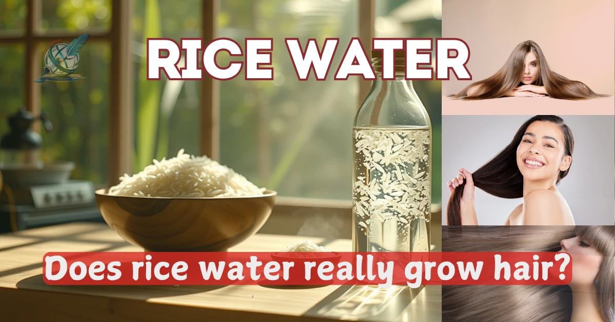 Does rice water really grow hair?