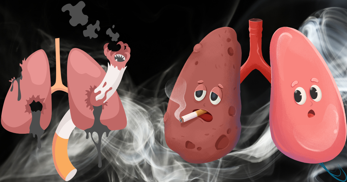 EFFECTS OF SMOKING ON SKIN